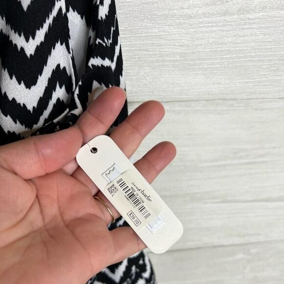 Charming Charlie Dress - Picture 3 of 6